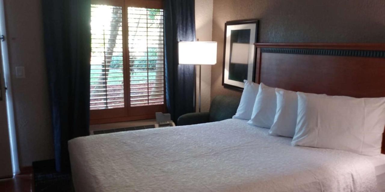 Surestay Plus Hotel By Best Western Clearwater Central Екстер'єр фото